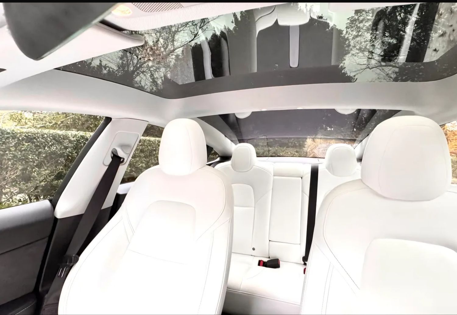 A sky in every seat. Model 3 glass ceiling.